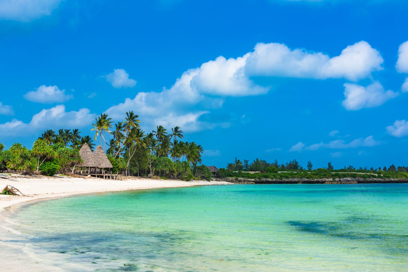 Tanzania Safaris (12)