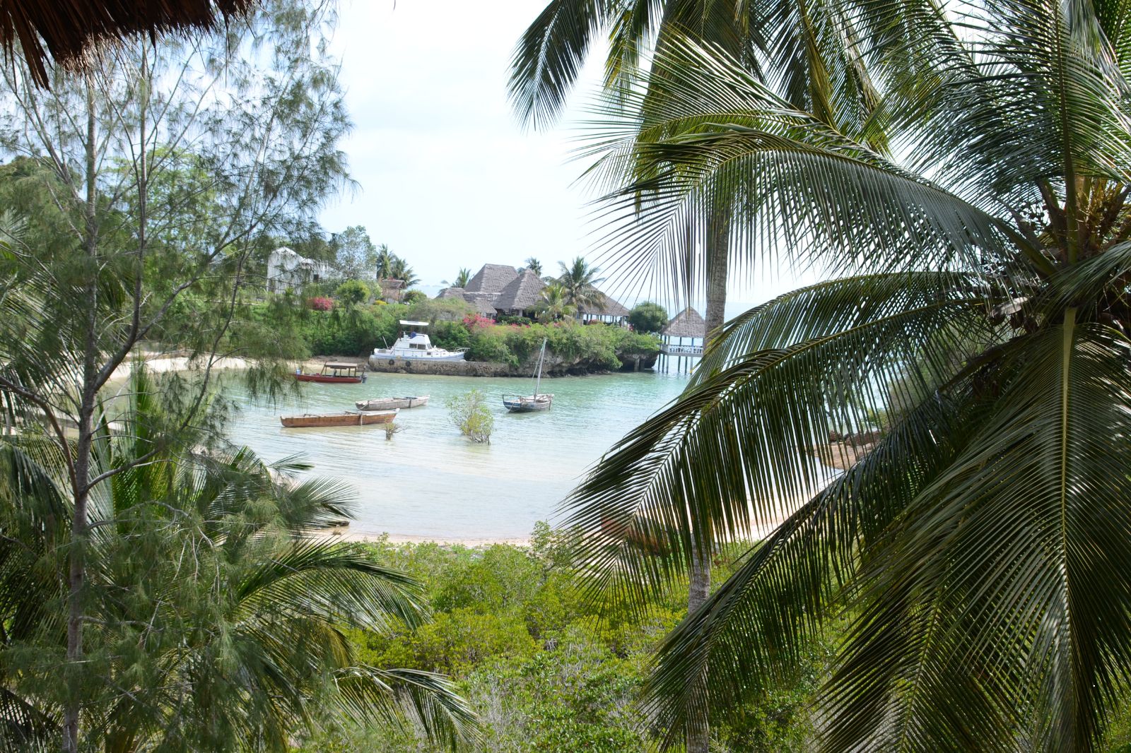 Tanzania Safaris (15)