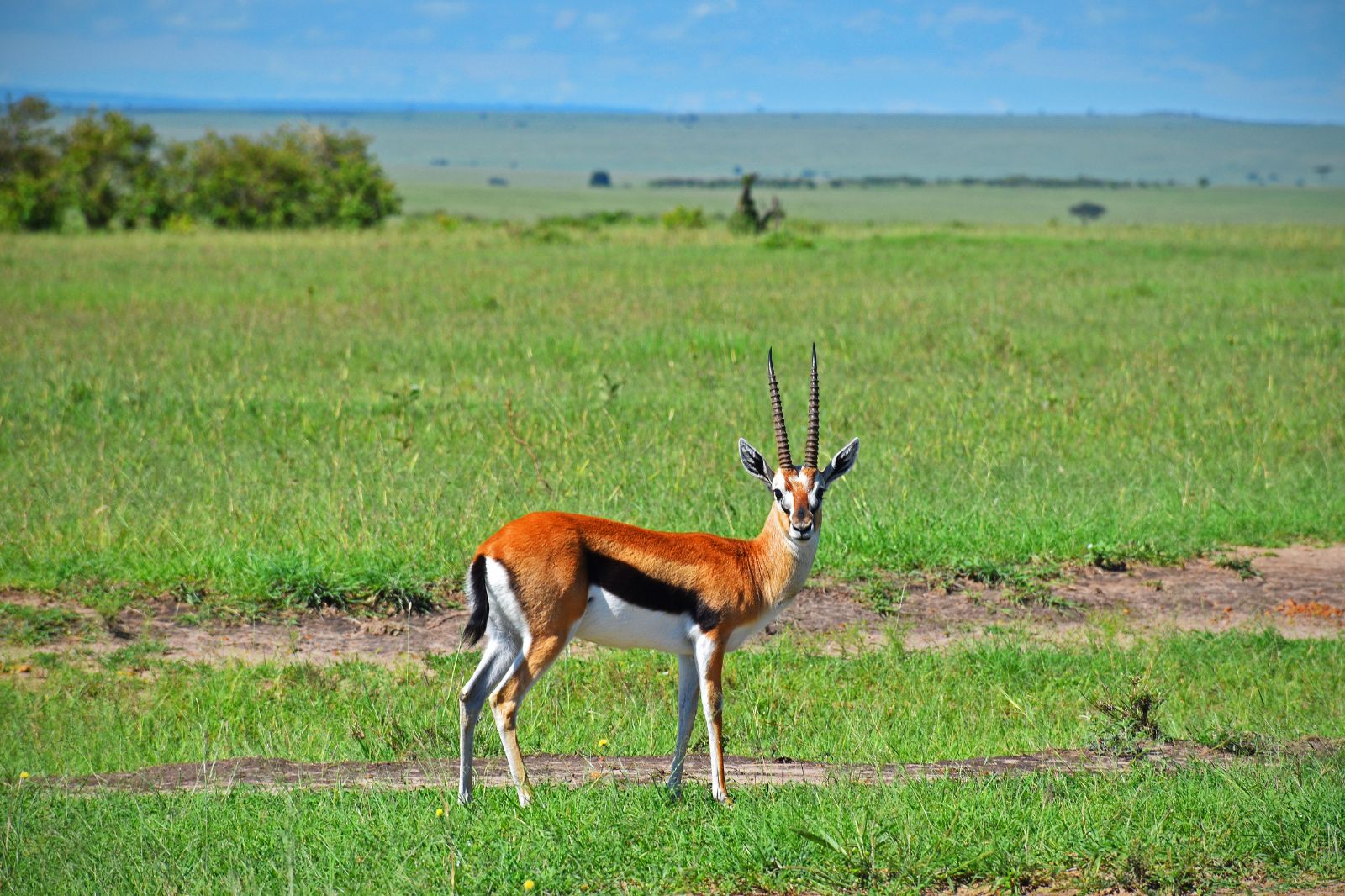 Tanzania Safaris (7)